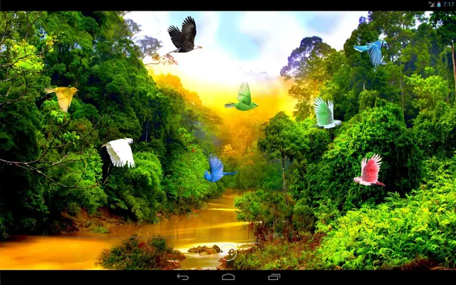 Forest River android App screenshot 1